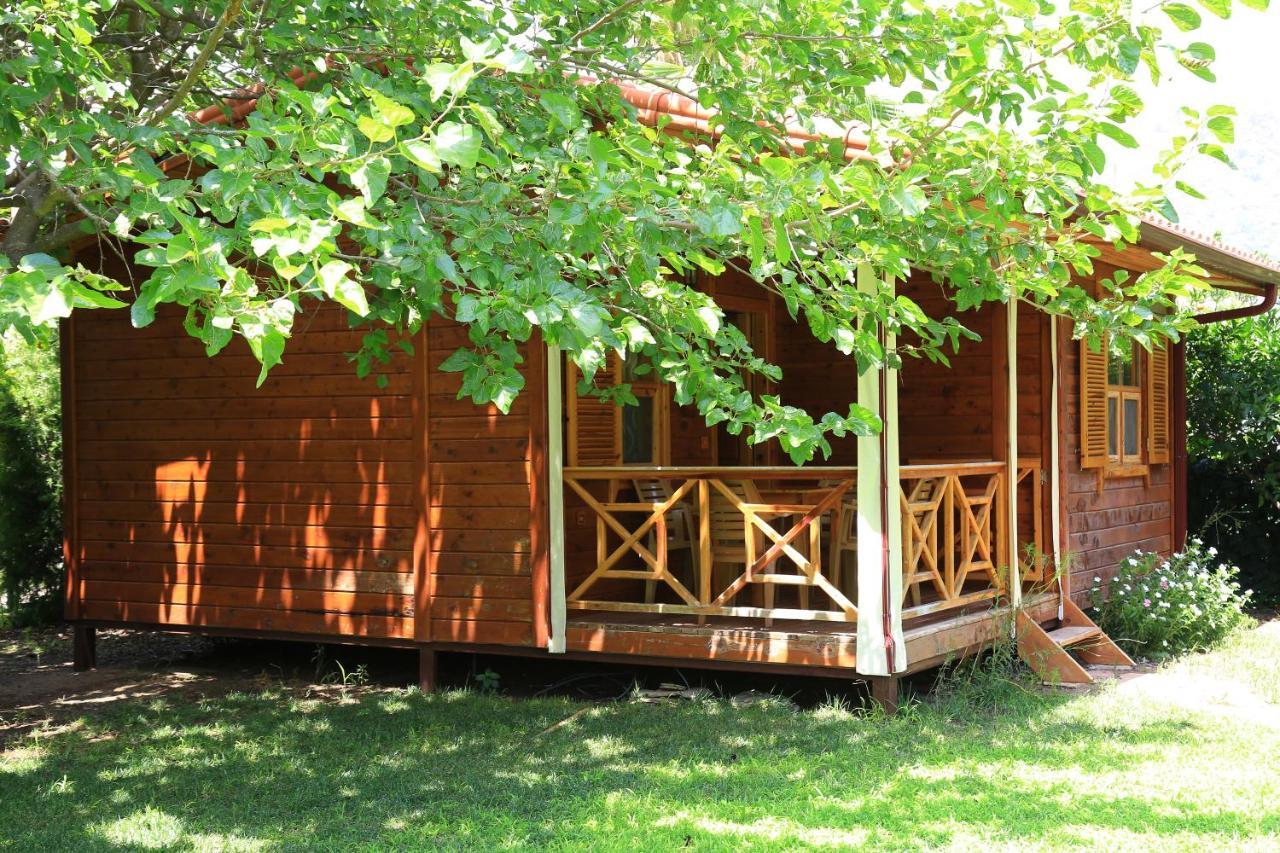 Tunays Pansiyon Panzió Çıralı Szoba fotó